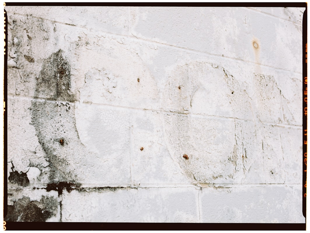 Water Extraction service in Brookhaven, GA